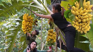 200 days : Harvest ripe bananas, buy gifts for the elderly, live in harmony with nature by SURVIVAL ALONE 63,098 views 1 month ago 4 hours, 43 minutes