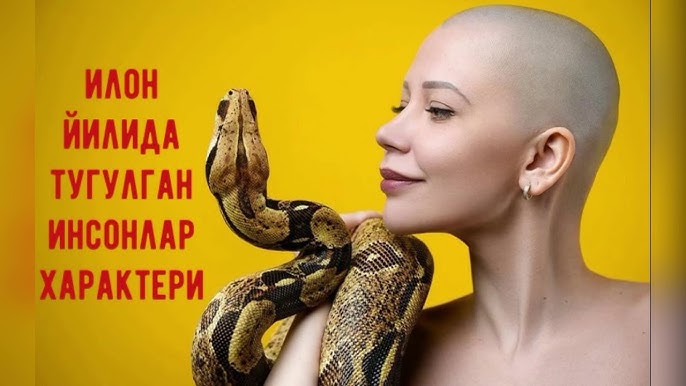 Ilon yilida tugilgan odamlarning jinsiyligi Ilon yilida tugilgan odamlarning jinsiyligi