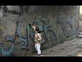 Как уличных художников превратили в вандалов