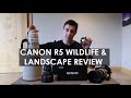 Will the Canon R5 make Wildlife & Landscape photographers go mirrorless? (vs. Sony A7RIV & A9II)