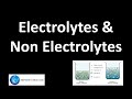 Understanding Conductors and Electrolytes