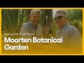 Pictures Sale For Botanical