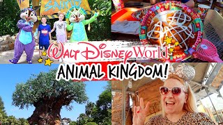 WALT DISNEY WORLD VLOG!  Animal Kingdom, Pandora, Dinoland & Pin Trading!