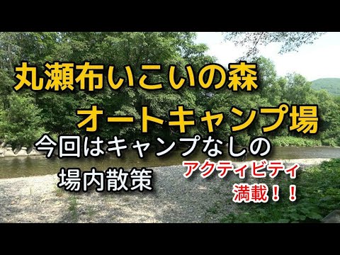 トントゥ の 森