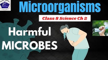 Harmful Microbes | Microorganisms- NCERT Class 8 Science Chapter 2 | How microbes cause diseases?