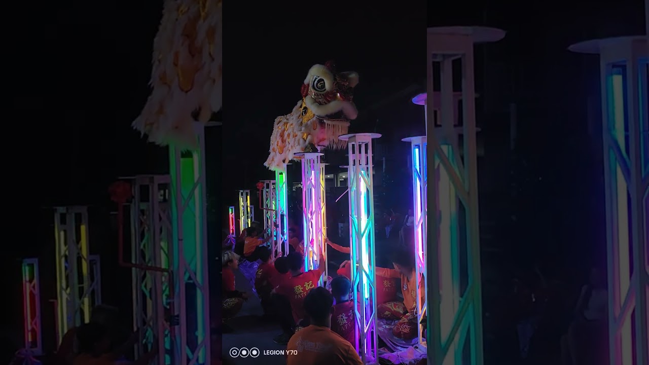 Chinese New Year 2025