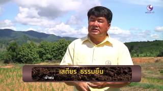 รายการคนไทยหัวใจเกษตร  05กันยายน 2559 B3
