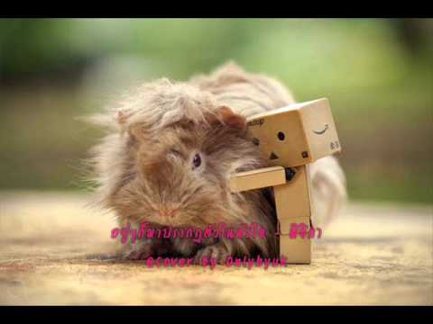 อยู่ๆก็มาปรากฏตัวในหัวใจ - พิจิกา @ Cover By Mollii