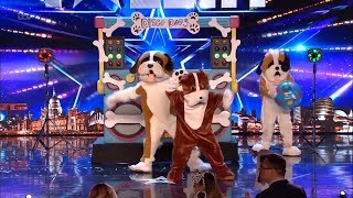 Disco Dogs Surprise Full Audition Britain's Got Talent 2019 S13E08
