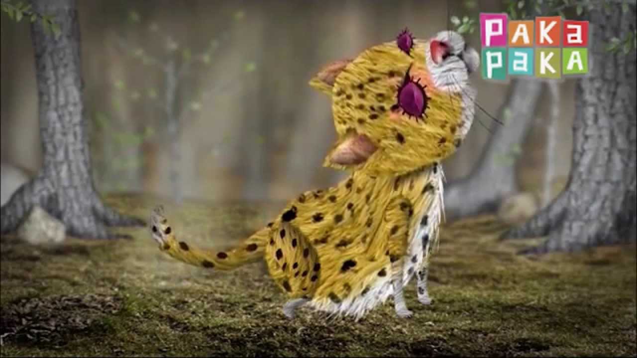 Canciones del bosque: El gato huiña - Canal Pakapaka camera iphone 8 plus apk