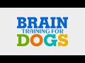 Brain Training for Dogs Digital Book I Only $47 Today I Visit ( www.braintraining4dogs.today ) Brain Training for Dogs Digital Book I Only $47 Today I Visit ( www.braintraining4dogs.today )