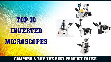 Top 10 Inverted Microscopes to buy in USA 2021 | Price & Review