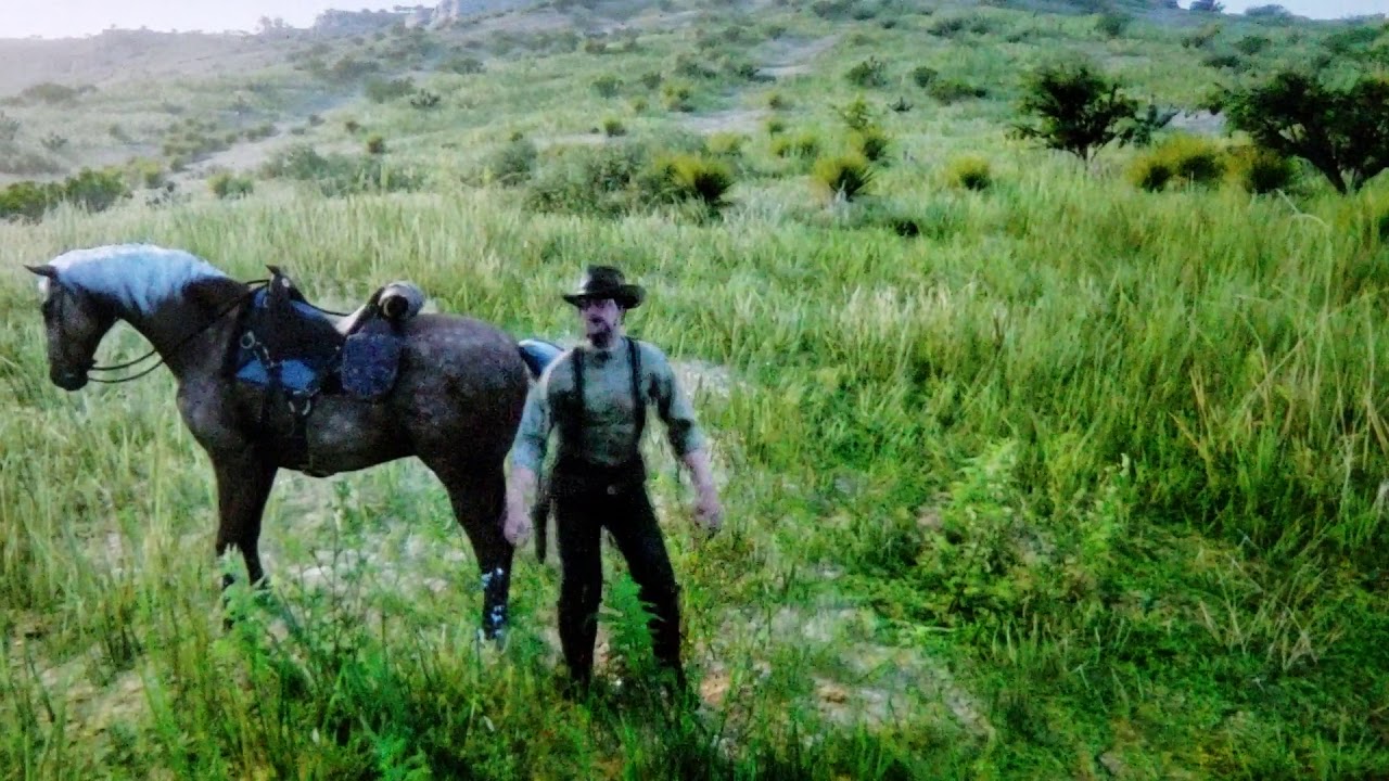 Red Dead Redemption 2 Horse kicks and kills his owner YouTube