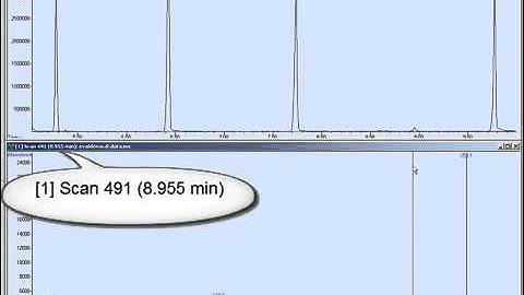 MSD Productivity - Quantitiation Database