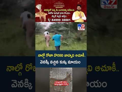 నాల్గో రోజూ దొరకని జాహ్నవి ఆచూకీ.. వెనక్కి వచ్చిన కుక్క మాయం -TV9