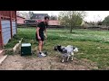 8-Minute Speed Legs
