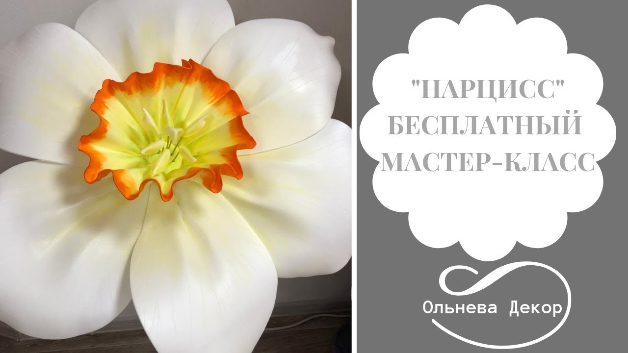 БЕСПЛАТНЫЙ МАСТЕР-КЛАСС 