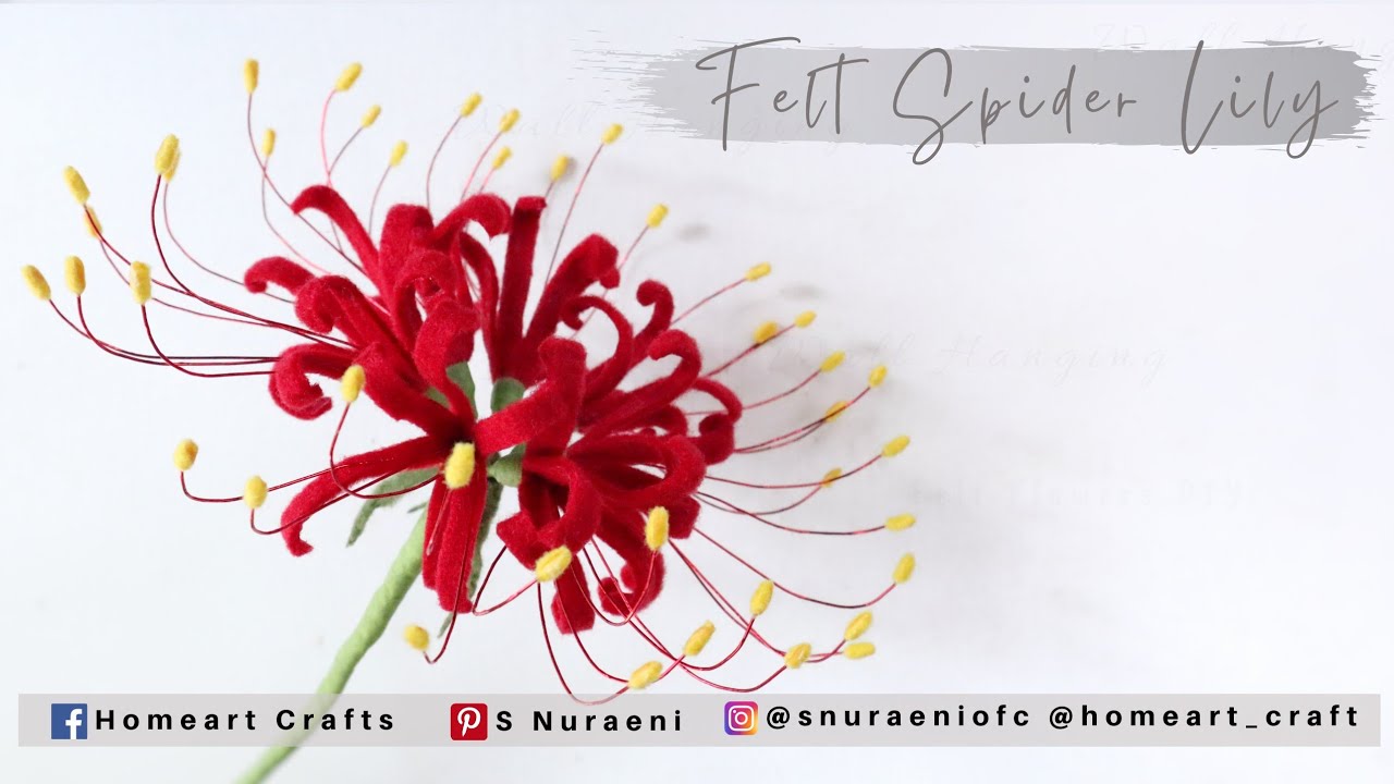 #DIY EASY FELT SPIDER LILY - How to Make Felt Flowers - S Nuraeni