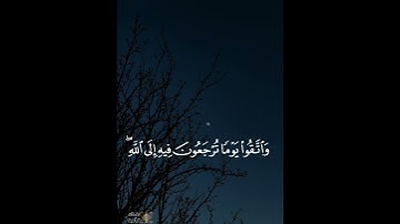 واتقوا يوما ترجعون فيه إلى الله ..تلاوة هادئة ورائعة جدااا تريح القلب .