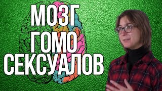 КАК УСТРОЕН МОЗГ ГОМОСЕКСУАЛОВ / Психология, Советы / Ася Казанцева - Сам себе психолог