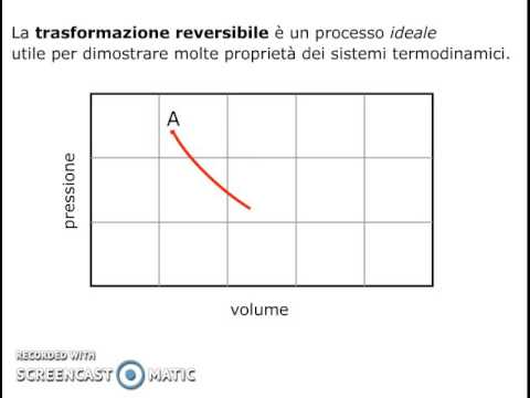 Video: Differenza Tra Lesione Cellulare Reversibile E Irreversibile