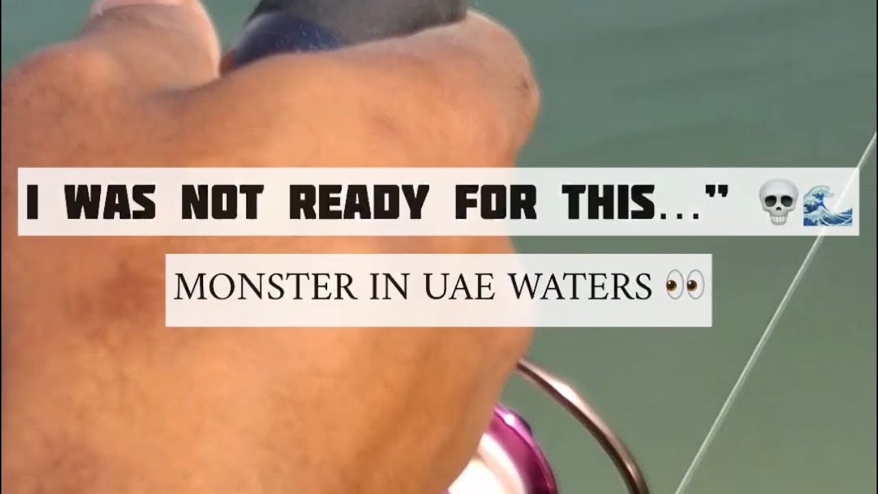 Something BIG lives in Abu Dhabi waters… 👀#fishing #shortsfeed #shorts #abudhabifishing #uaefishing 