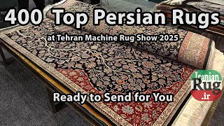 400 Persian/Iranian Machine Rugs Ready to send for You | Machine Rugs Show on OCT 2025, Tehran, IRAN