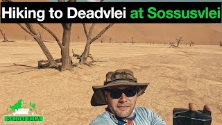 How to hike to Deadvlei at Sossusvlei | Namibia🇳🇦