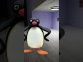 NOOT NOOT!!!