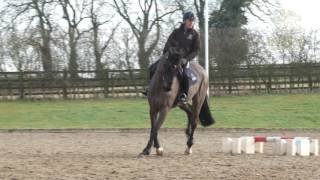 Andrew Hoy Masterclass in Minutes - Canter Poles
