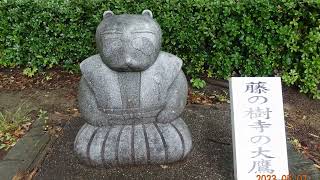 2023 5 7 小松島ステーションパーク