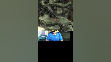 The challenges of mastering video game mechanics