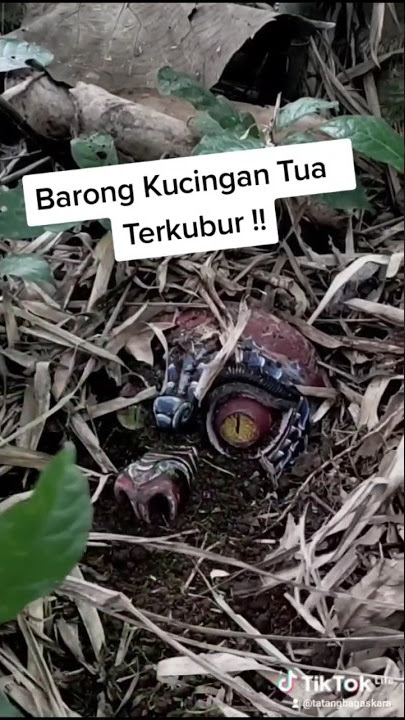 Menyelamatkan Barong kucingan Tua terkubur