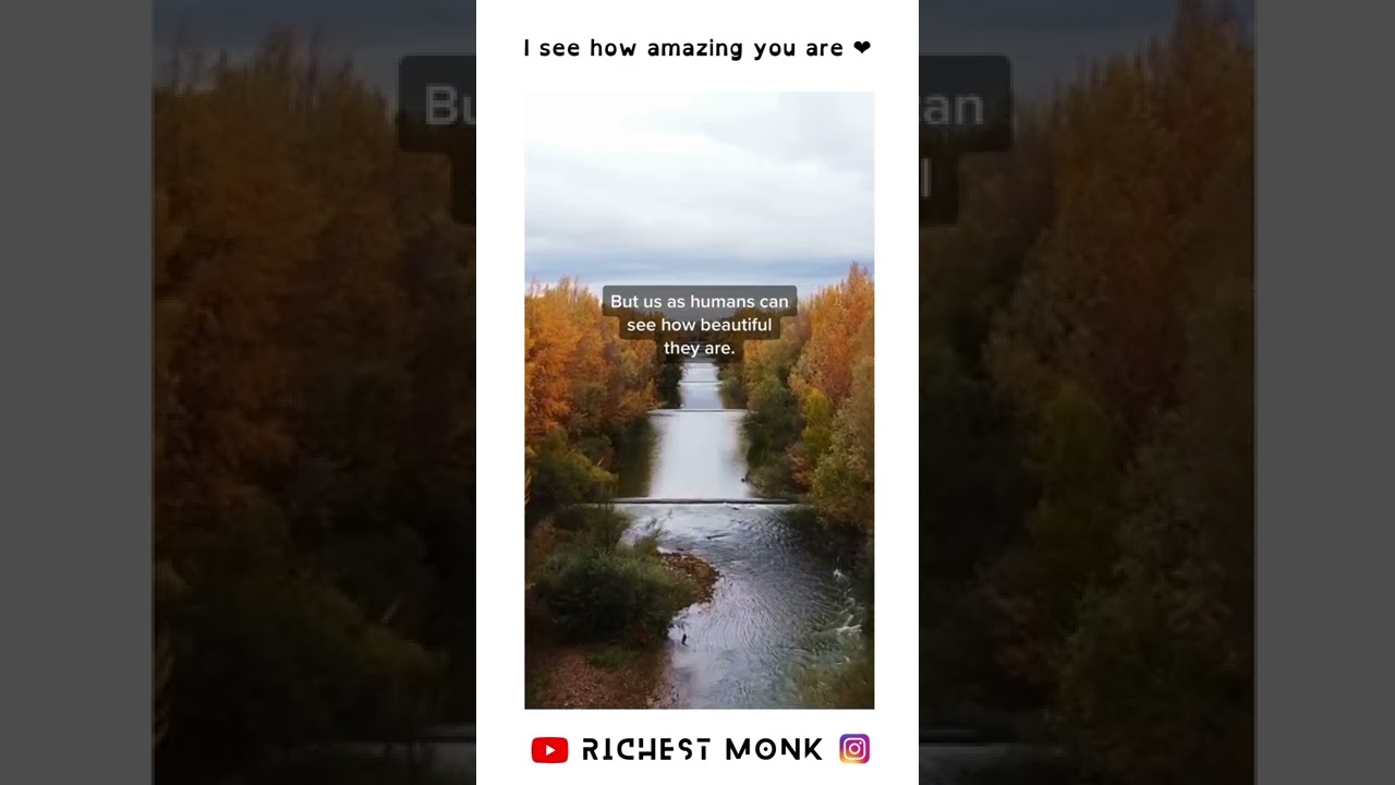 I see how amazing you are ❤️ 