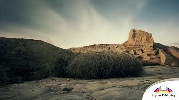 EXCEL 5 Module 5 Savran