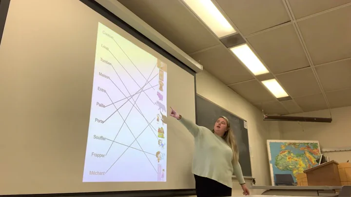Micro teaching fl486