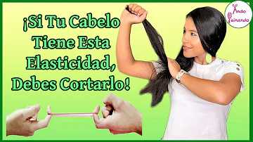 ¿Cómo saber la elasticidad del pelo?