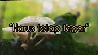 HARUS TETAP TEGAR || Story wa,life story,kata bijak.