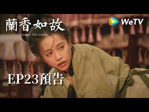 《蘭香如故》EP23預告｜滅門慘案鑄就蘭香志，林府丫鬟終成掌門人｜劉學義、譚松韻