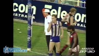 Flashback: Round 15, 1993 - North Melbourne v Essendon