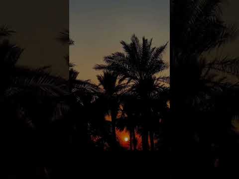 لاشيء اجمل من الصمت عندما تخيب الضنون عبارات اغنية Turali AIi DARlXA 