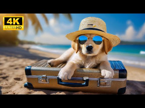 Relax With Baby Animals And Relaxing Music, Soothing Music - Scenic Relaxation Film