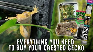Beginner's Guide To Crested Gecko Supplies | Tank, Heater, Light, Substrate & More