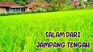 SERULING MERDU SUNDA MENGANTARKAN PETANI KESAWAH II SALAM DARI JAMPANG TENGAH