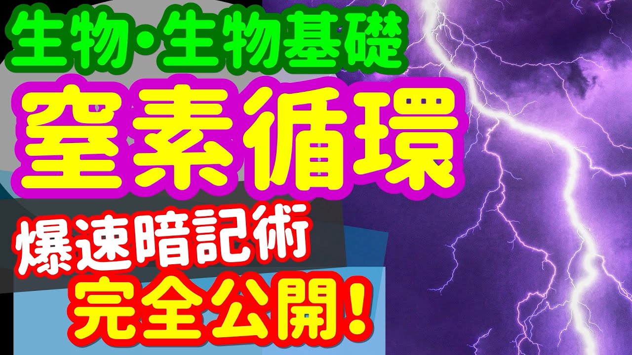 【生物基礎 32】生態系【窒素の循環】を宇宙一わかりやすく