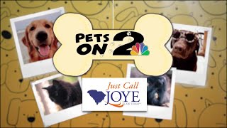 Pets on 2: Charleston Animal Society - Berkeley Campus