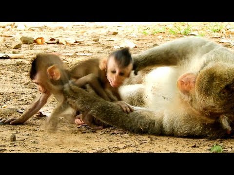 video phone beyonce mp3 Oh No,Stop ! Stop King Macus Don't Be Angry Don't Warn Coz It Still Baby