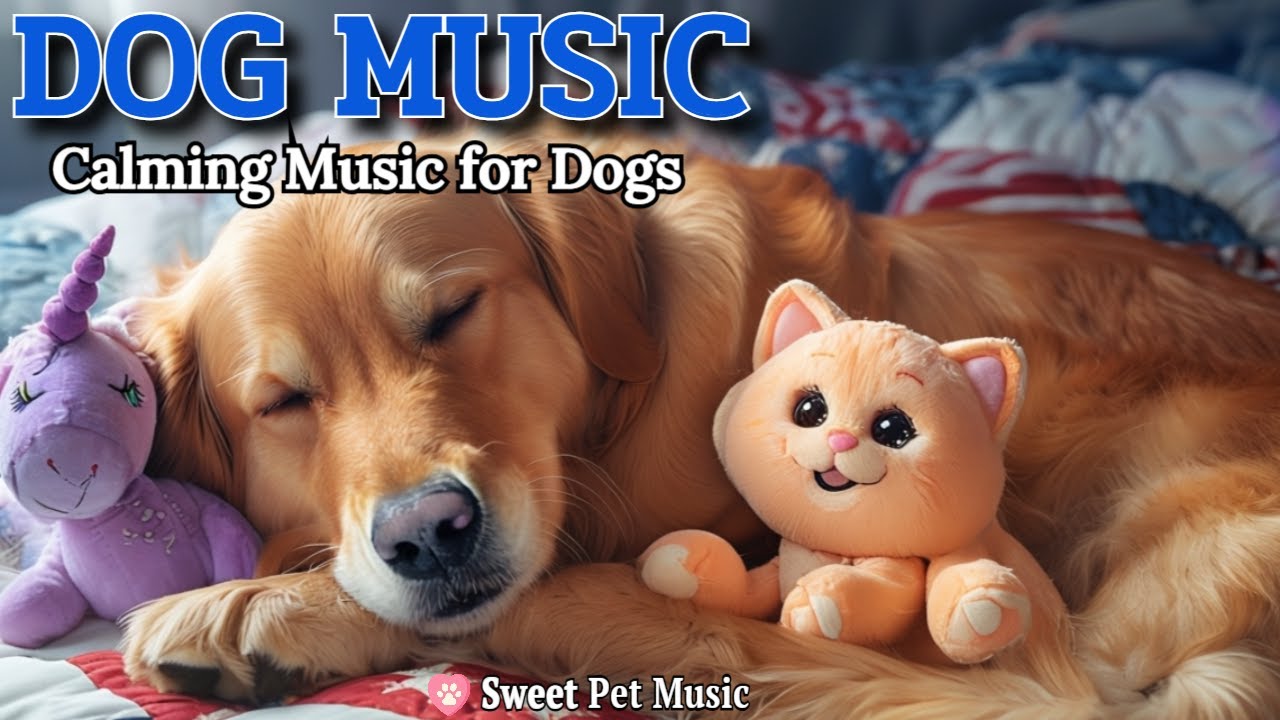 20 Hours of Calming Dog Music🦮💖Total Anxiety Relief & Stress Control🎵🦮Relaxing Vibes, Dog TV