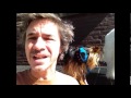 Wee Wee Pads, how to get dog to go outside ..........Peter Caine dog training Wee Wee Pads, how to get dog to go outside ..........Peter Caine dog training