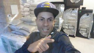 Paraíso dos cultivadores !! CUPOM10%OFF GROW POWER CULTIVO INDOOR MACONHA CANNABIS KIT ESTUFA